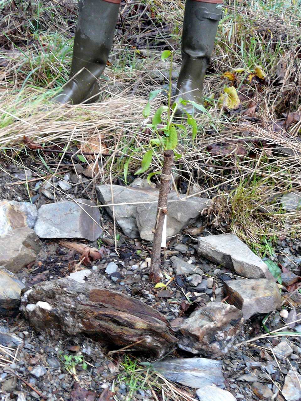 Alain madeleine octobre 2008