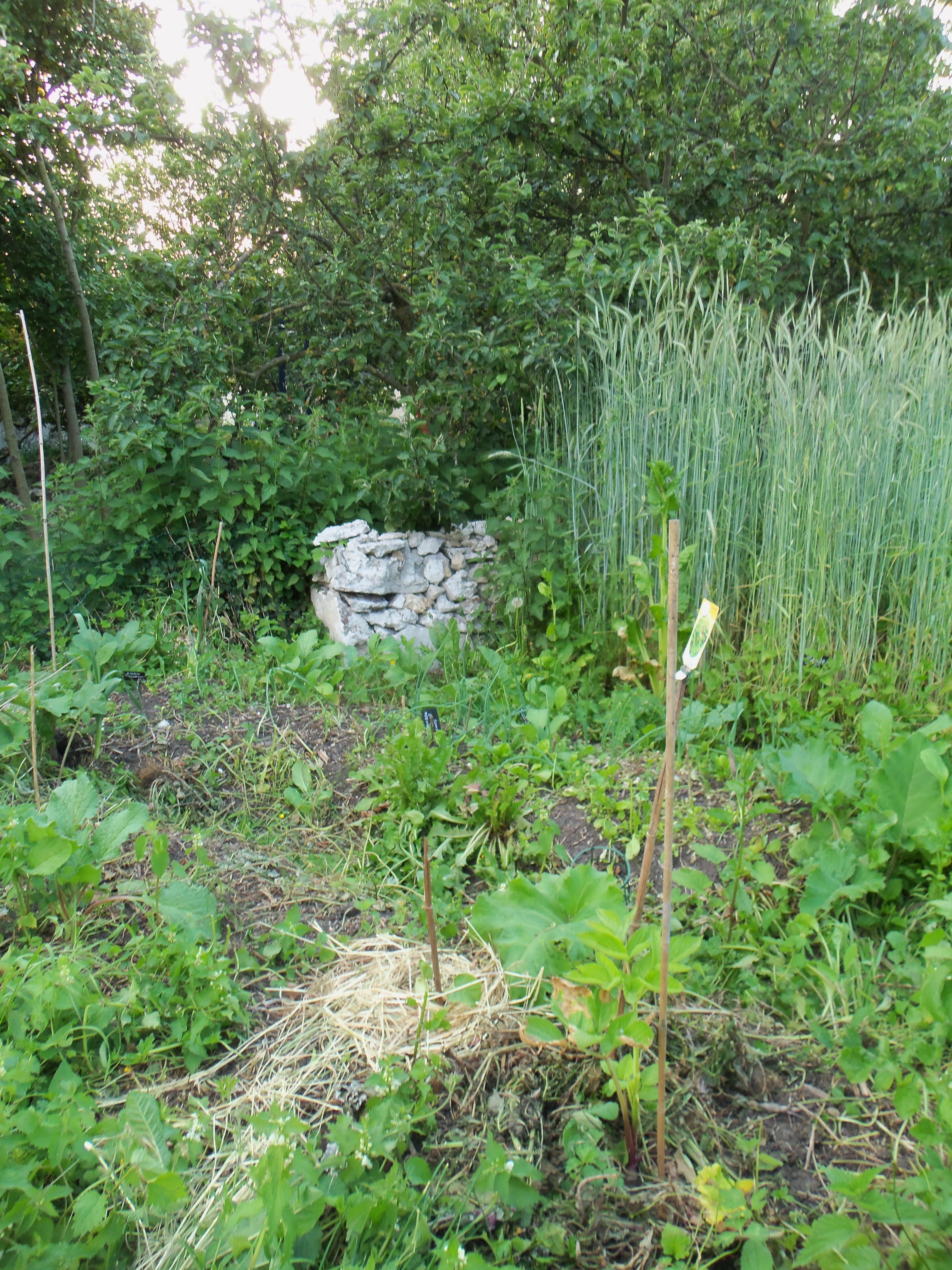 Jardin du sens de l'humus