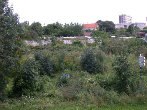 L'emplacement de la future remise 
