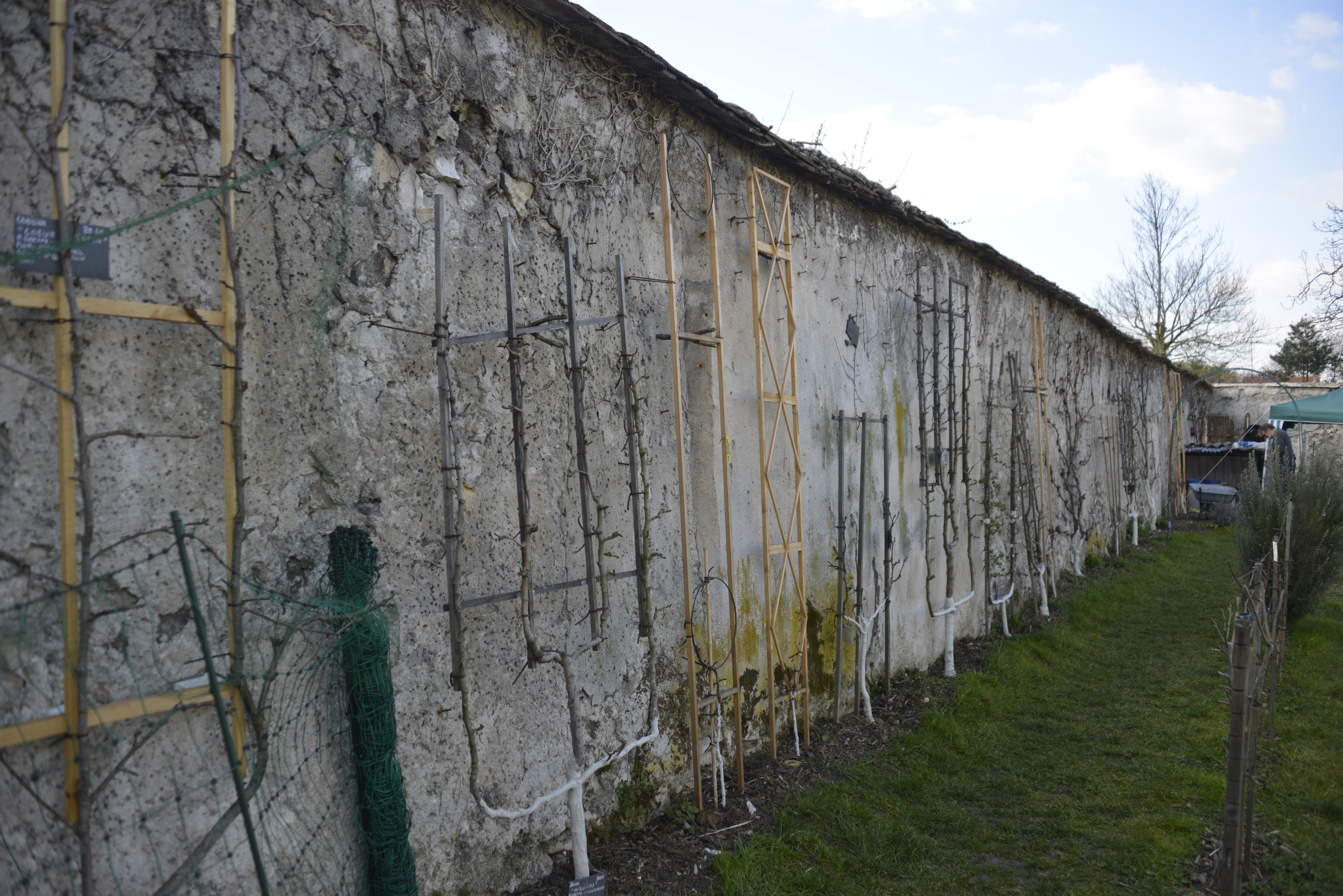 photo bouillon patrick mars 2016 13a