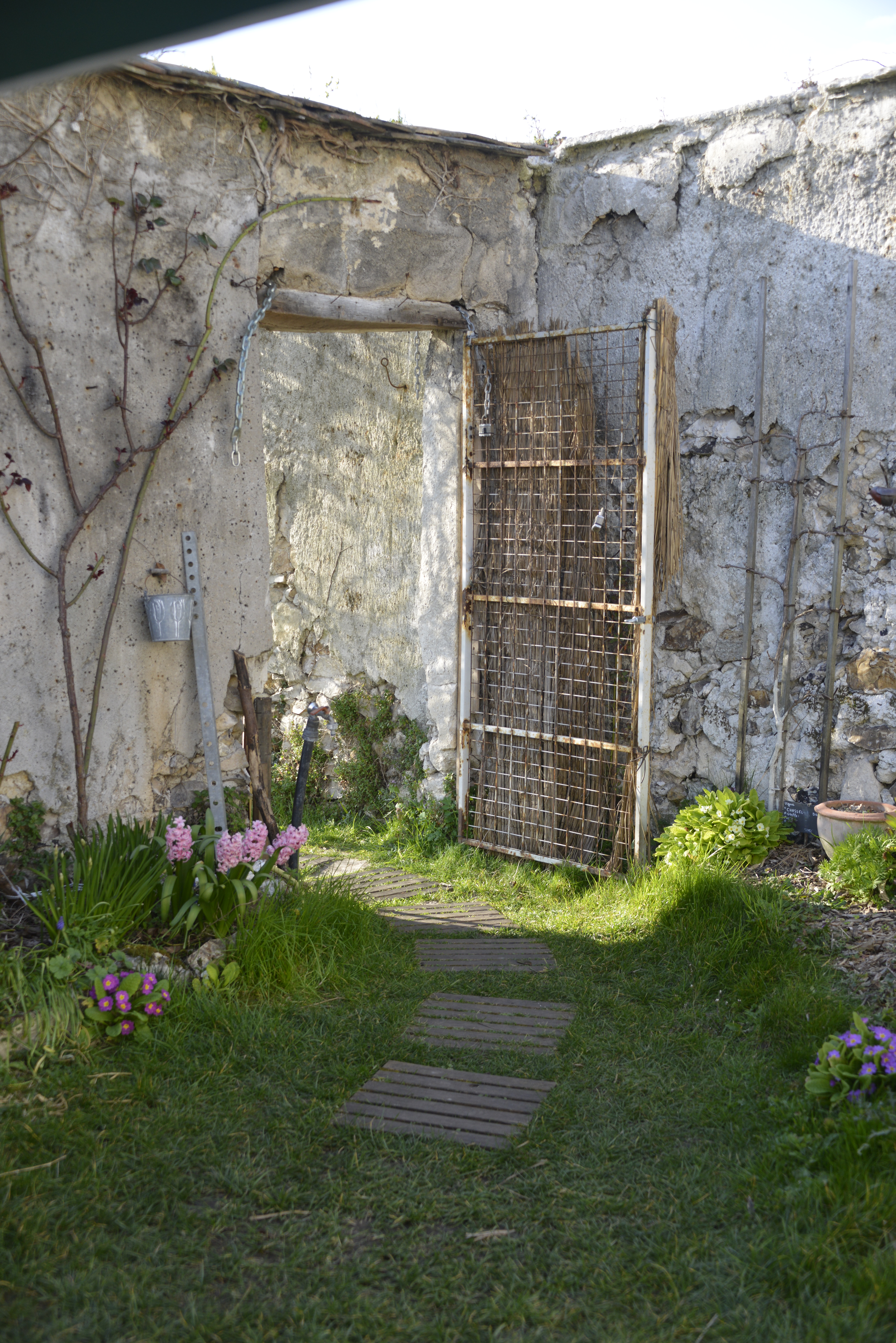photo bouillon patrick mars 2016 2a