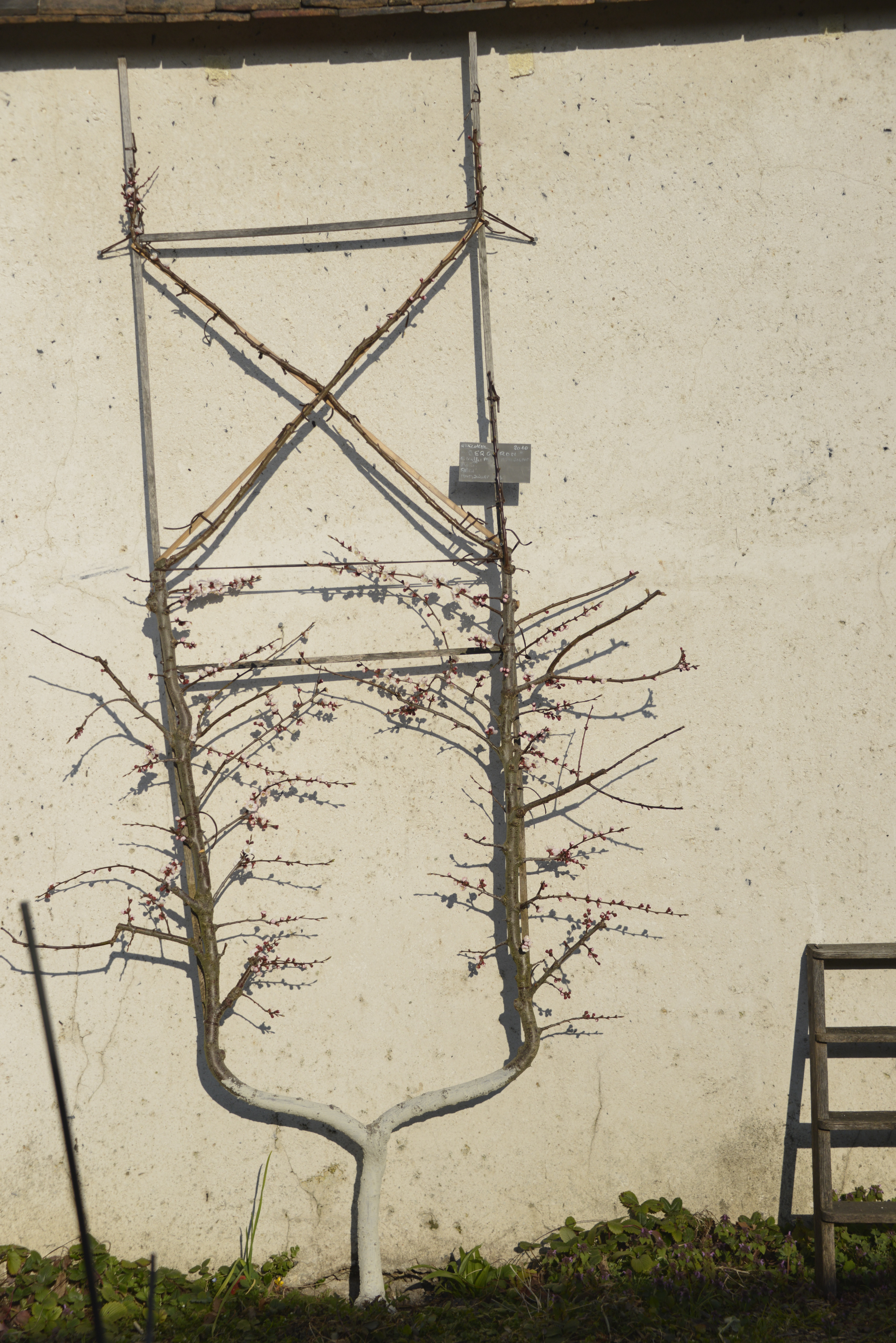 photo bouillon patrick mars 2016 3a