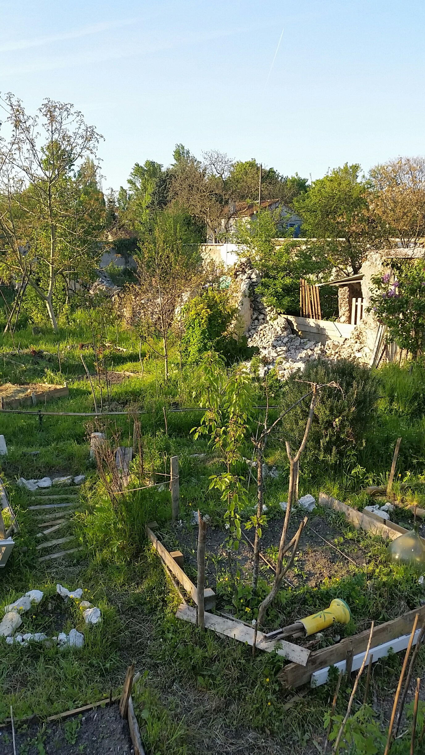 20160504_195221_resized