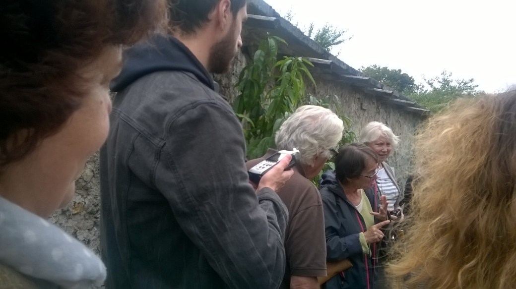 wp_20160917_15_25_39_pro