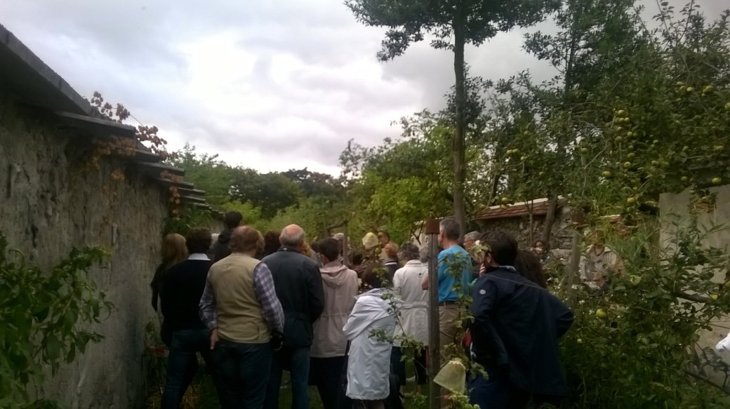 wp_20160917_15_25_56_pro