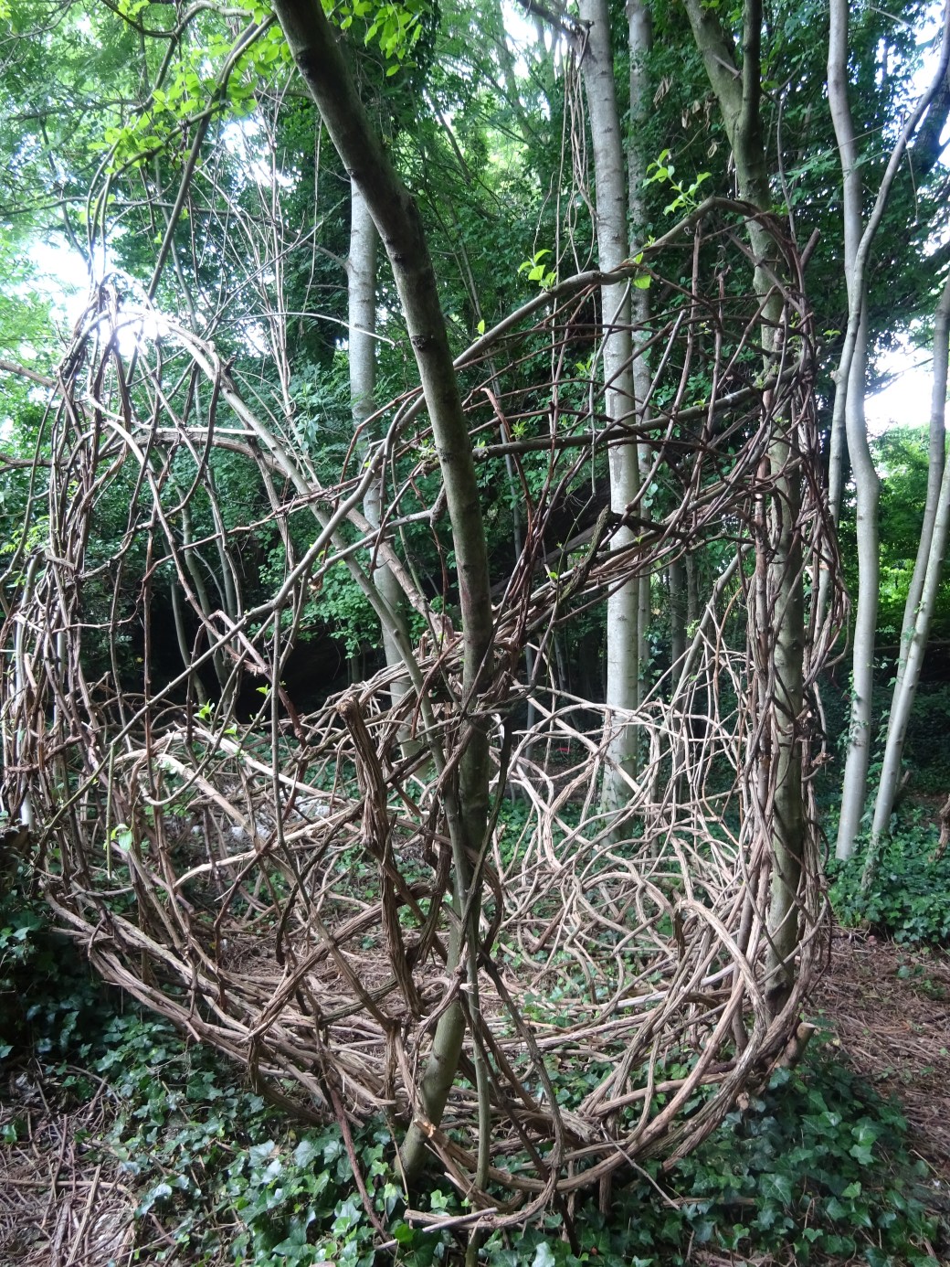 FESTIVAL 2017 CATHY DSC00755