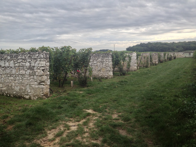 clos-entre-les-murs-3