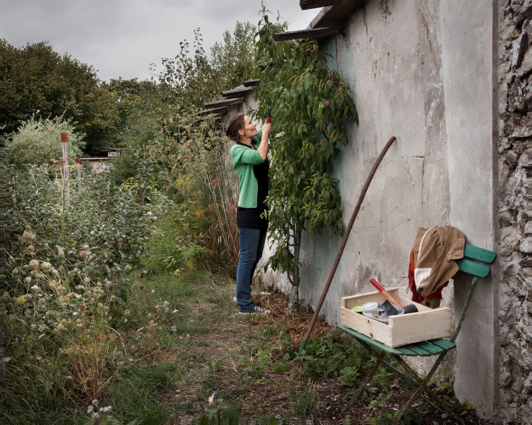 IMG_20200121_135741_01(1)