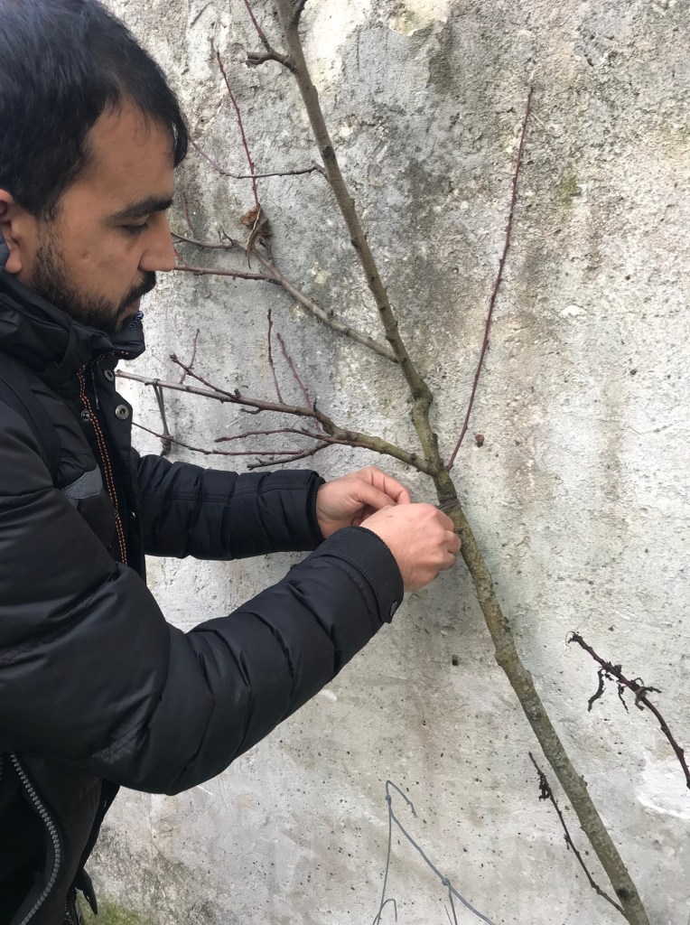 Cette image a un attribut alt vide ; le nom du fichier est img_0530.jpg